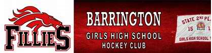 Skopek Orthodontics Fillies Barrington girls hockey team logo